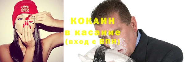 гашик Алексин