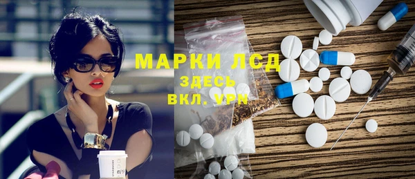 гашик Алексин