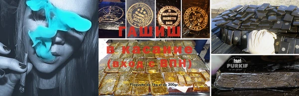 прущие грибы Алексеевка